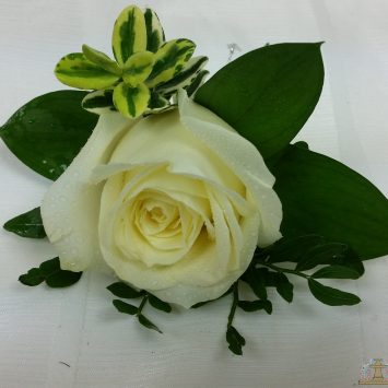 2016-12-02 15.56.17